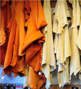 Hides and skin leather Processing